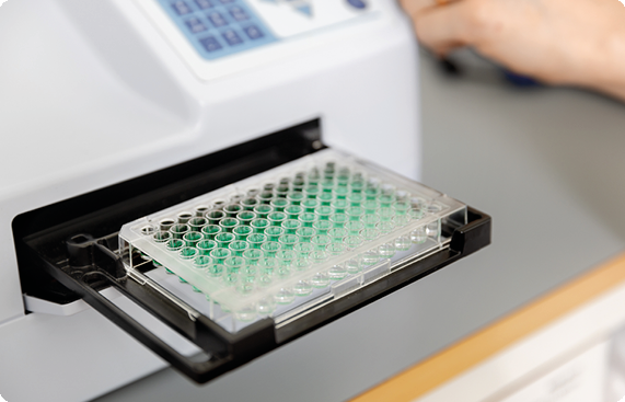 Agrisera ELISA quantitation kits