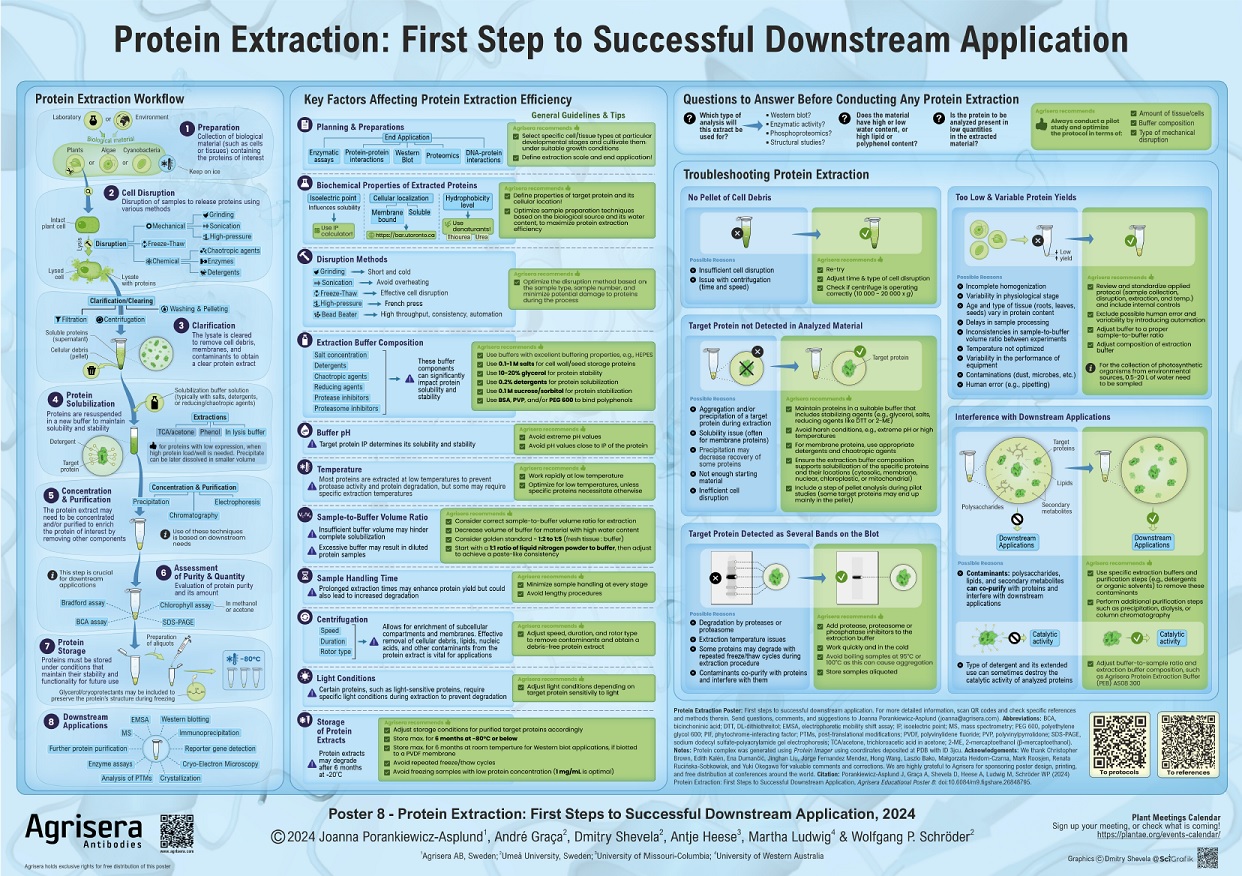 Agrisera Poster 8 Protein Extraction