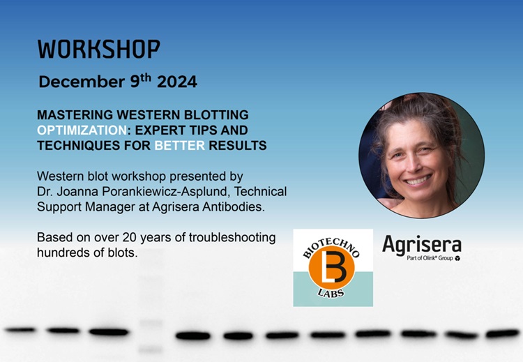 Agrisera Western blot workshop with BiotechnoLabs, Agrisera distributor in India