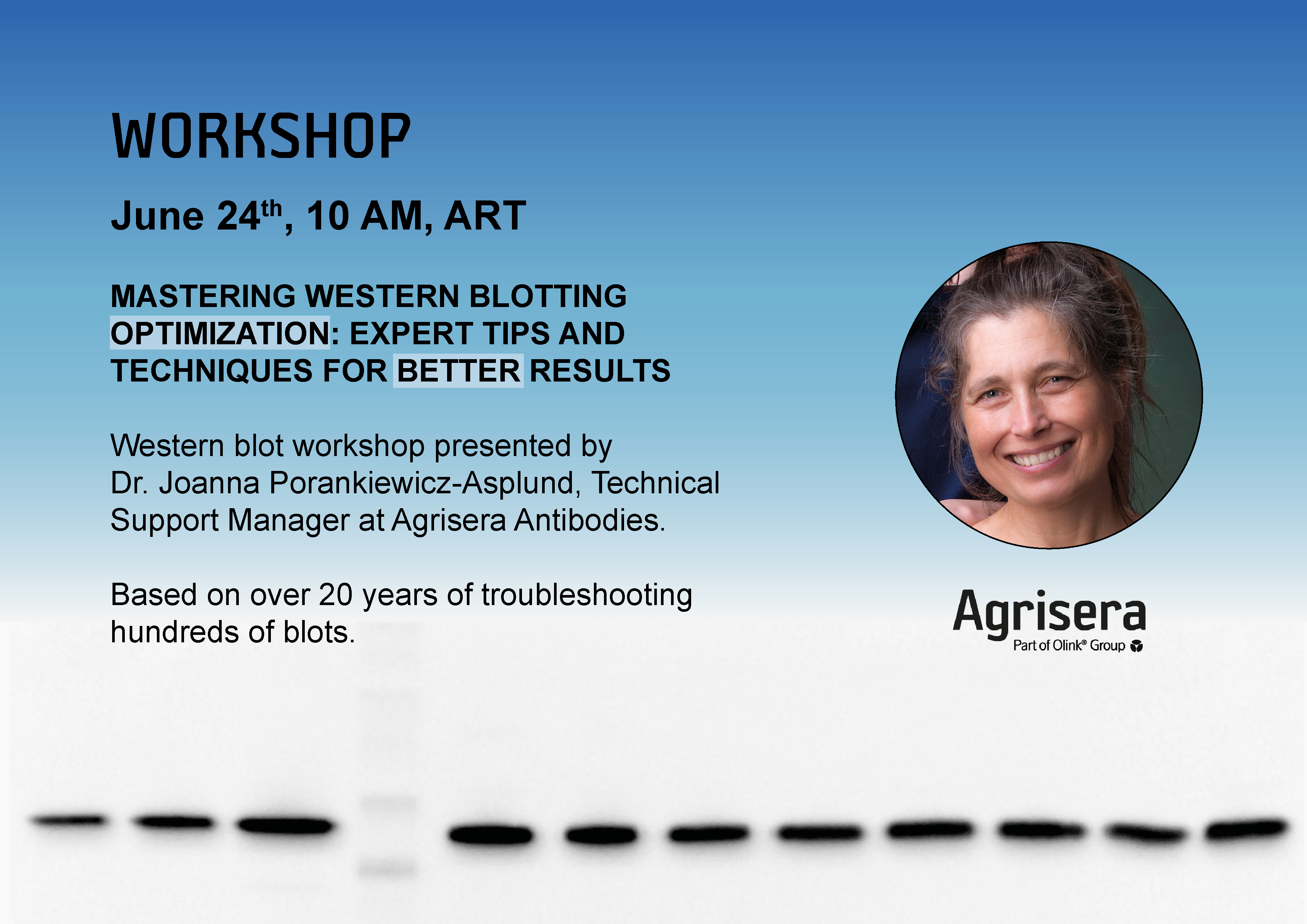 Agrisera online Western blot workshop for South America