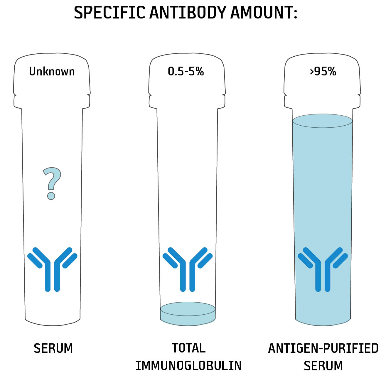 Antibody format