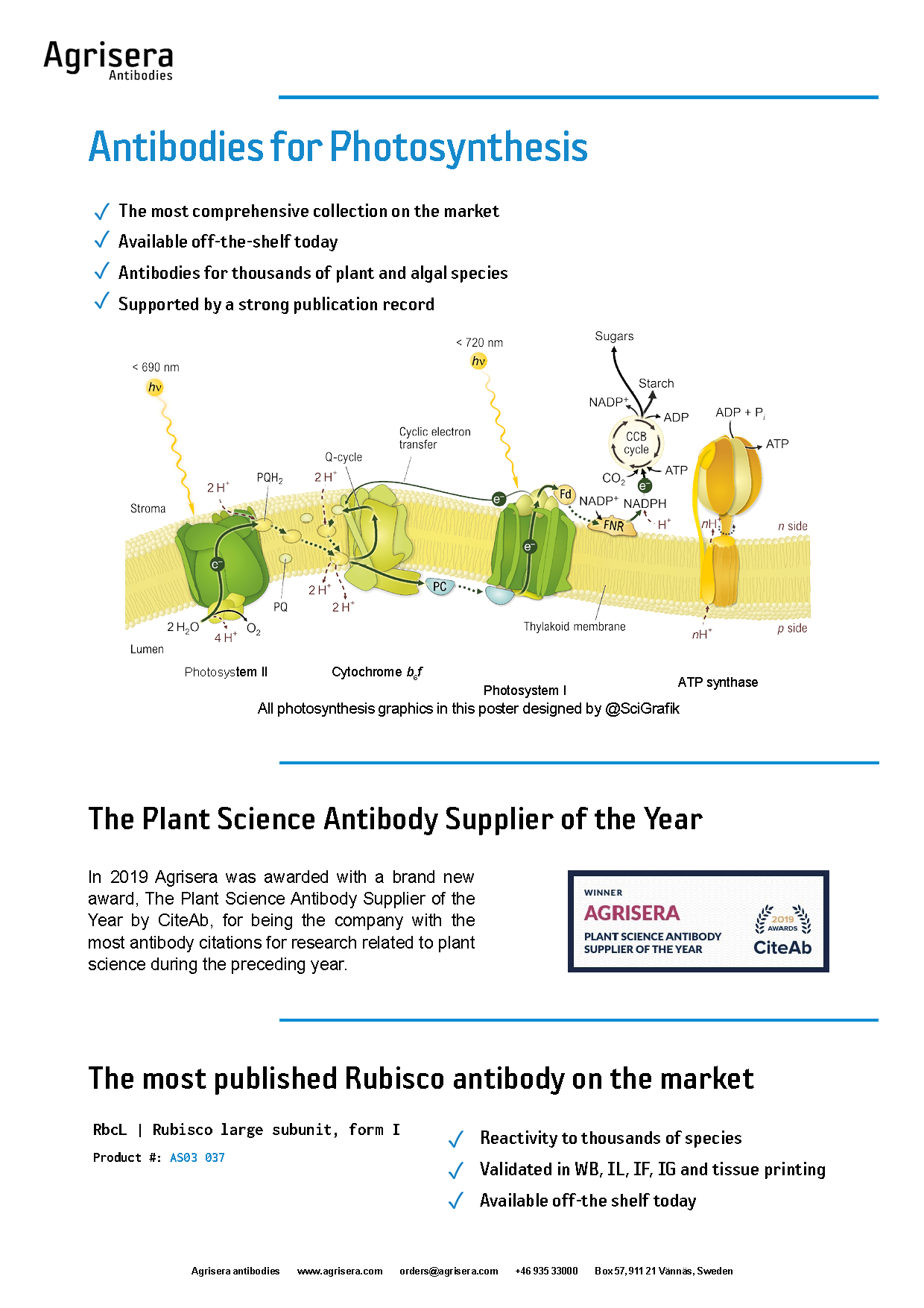 Agrisera photosynthesis antibodies