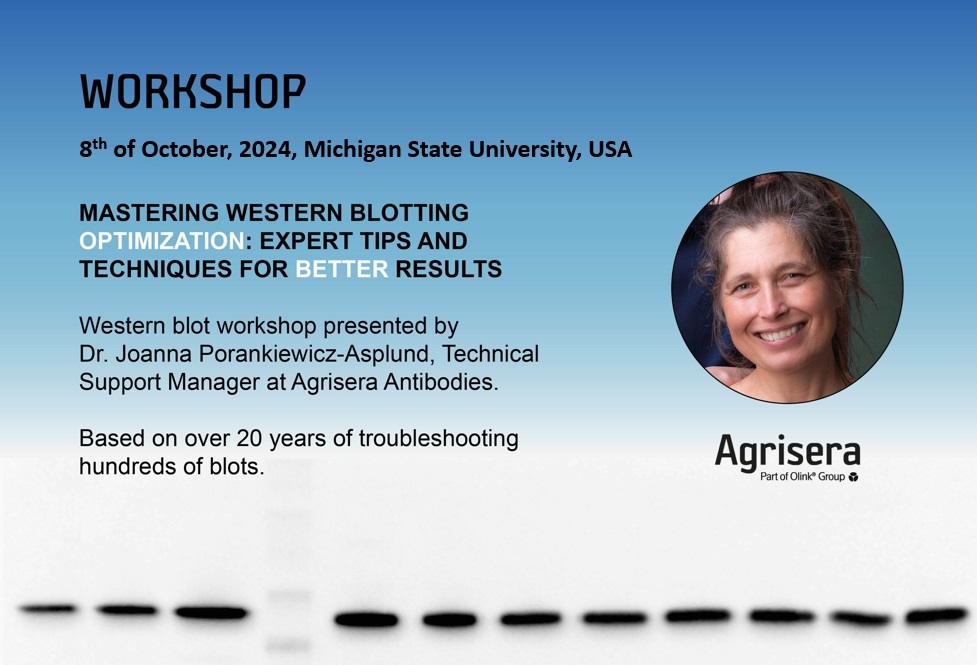 Agrisera Western blot workshop for Michigan State University