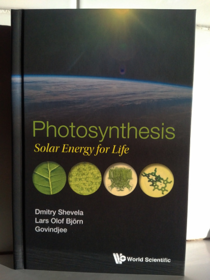 Photosynthesis Solar Energy for Life