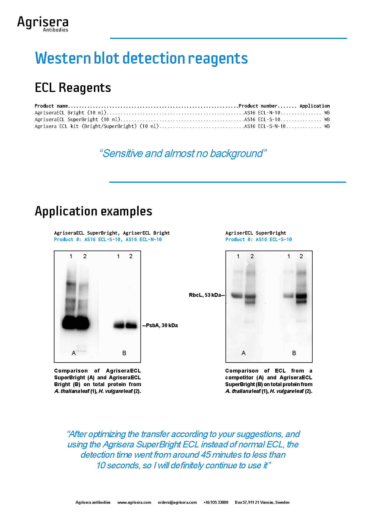 Agrisera ECL detection reagents