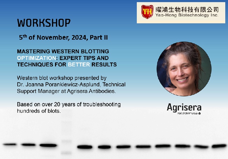 Agrisera Western blot workshop for researchers from Taiwan